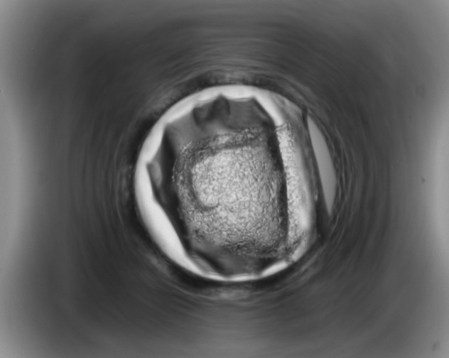 X0000083580462200703091702