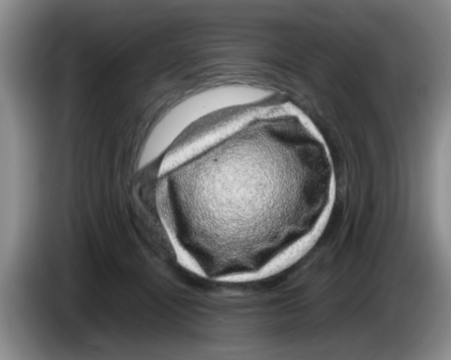 X0000083580464200703091702