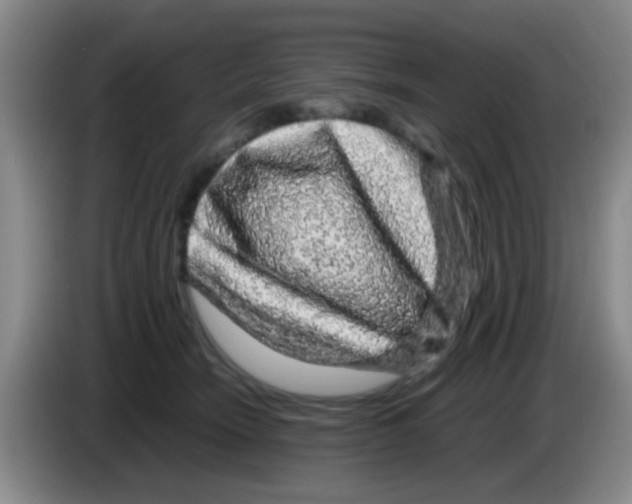 X0000083580466200703091702