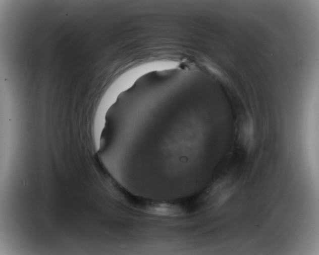 X0000083580467200703091702
