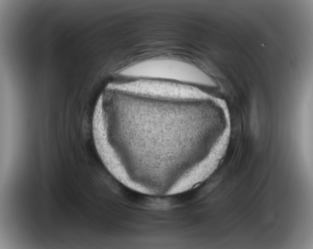 X0000083580469200703091702