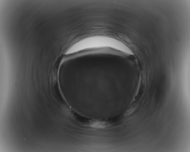 X0000083580471200703091702
