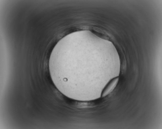 X0000083580473200703091702