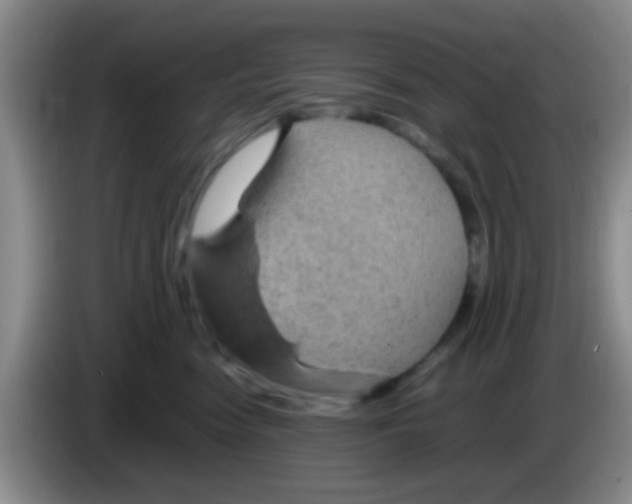 X0000083580474200703091702