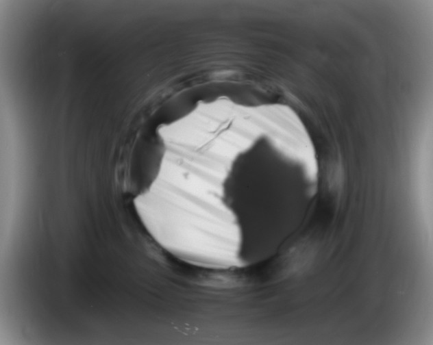 X0000083580475200703091702