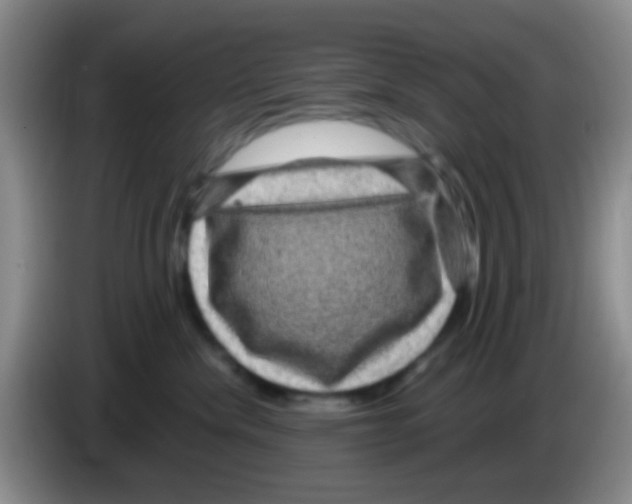 X0000083580476200703091702