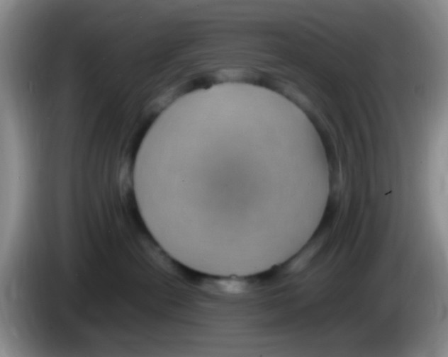 X0000083580478200703091702