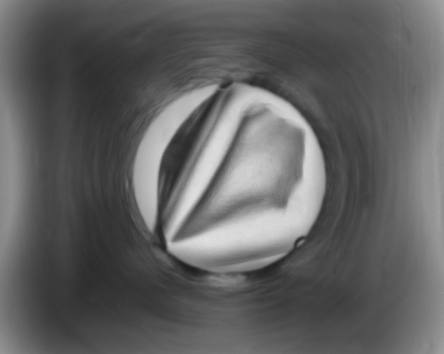 X0000083580480200703091702