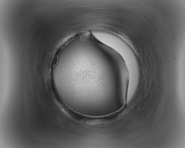 X0000083580485200703091701