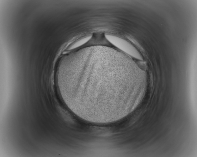 X0000083580486200703091701