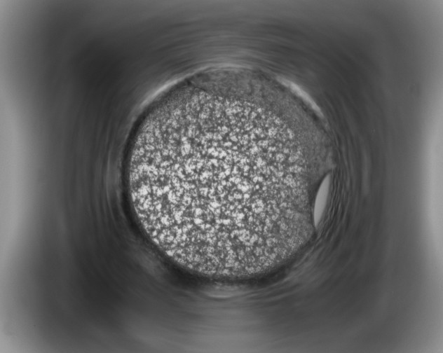 X0000083580487200703091701