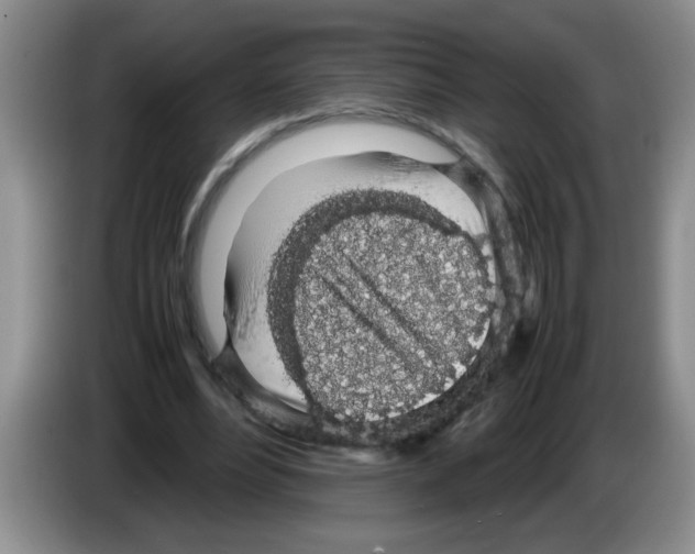 X0000083580488200703091701