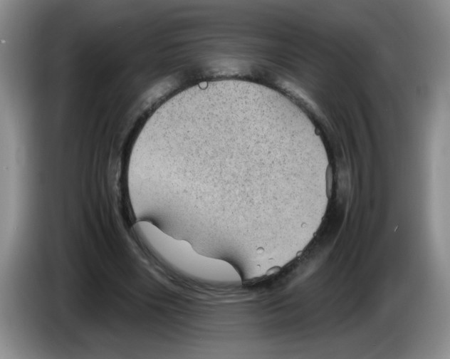 X0000083580490200703091701