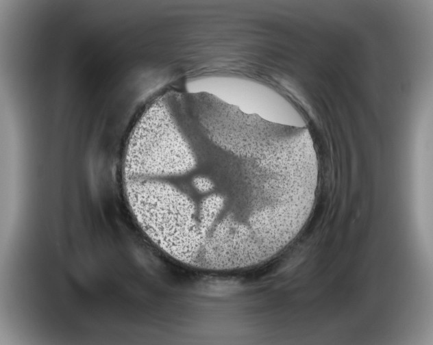 X0000083580491200703091701