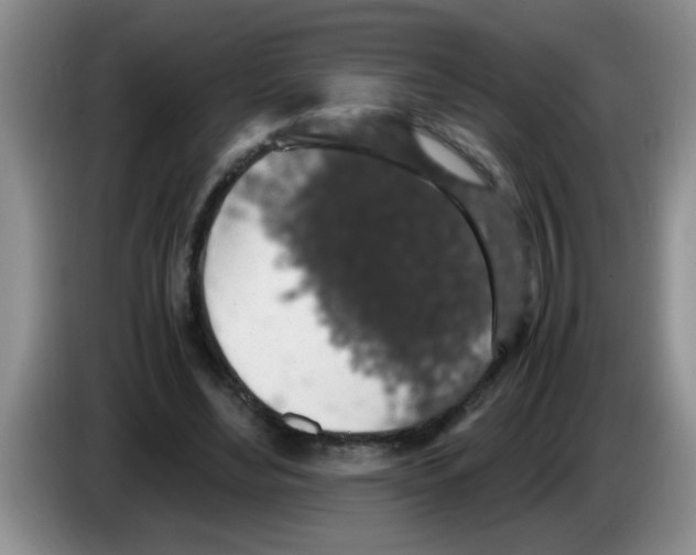 X0000083580492200703091701