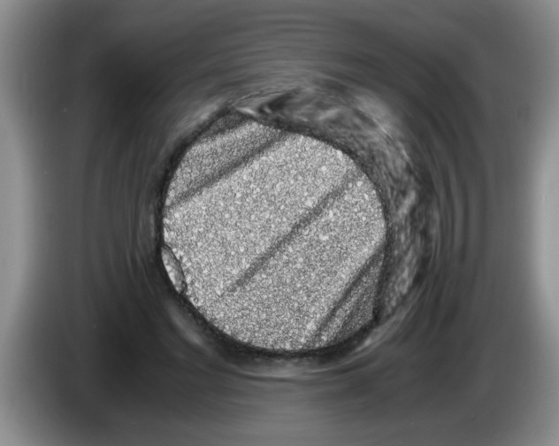 X0000083580493200703091701