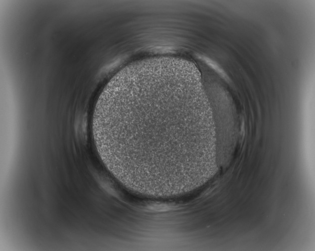 X0000083580494200703091701