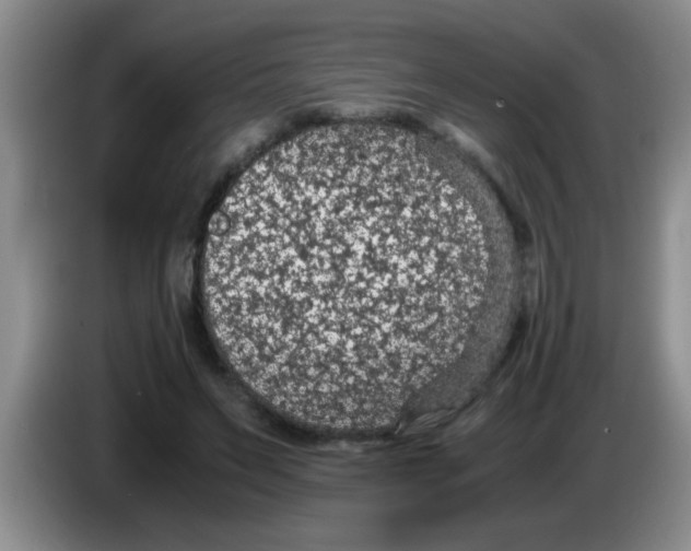 X0000083580495200703091701