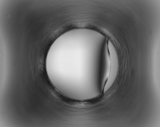 X0000083580497200703091701
