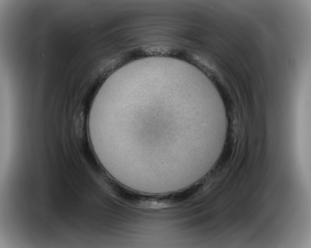 X0000083580498200703091701