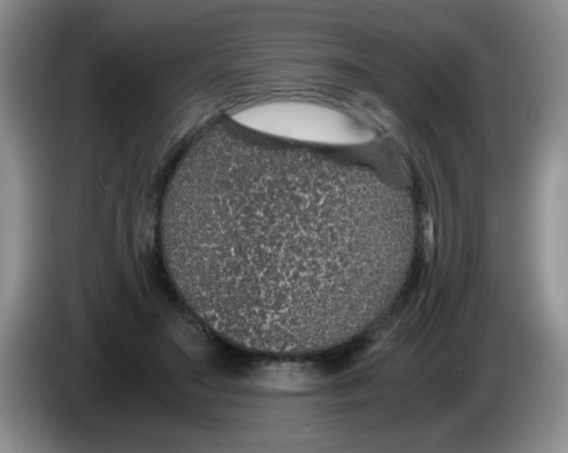 X0000083580499200703091701