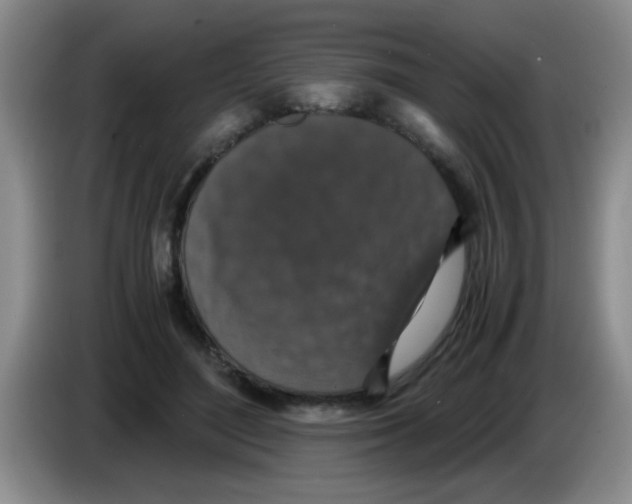 X0000083580500200703091701