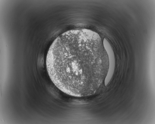 X0000083580502200703091701