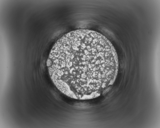 X0000083580503200703091701