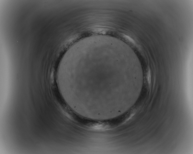 X0000083580504200703091701