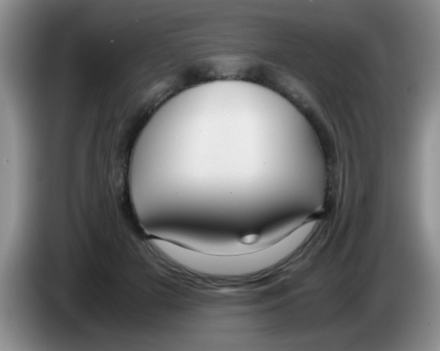X0000083580505200703091701