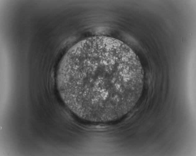 X0000083580506200703091701