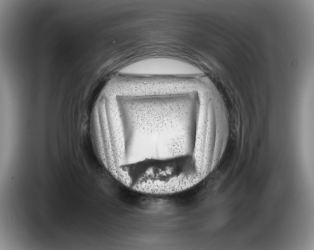 X0000083580507200703091701
