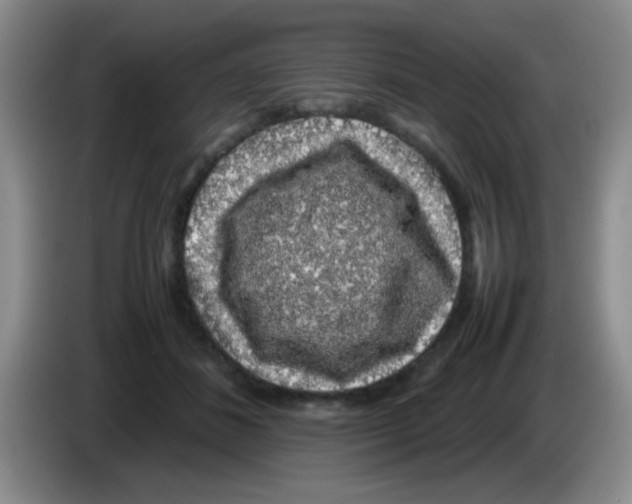 X0000083580508200703091701