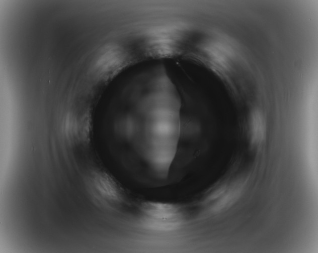 X0000083580509200703091701