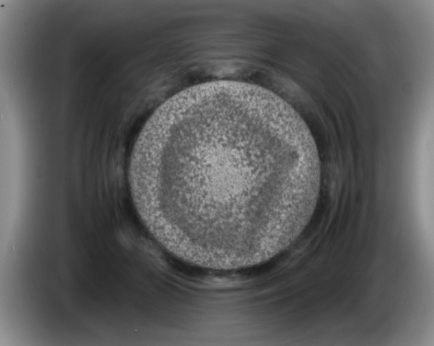 X0000083580510200703091701