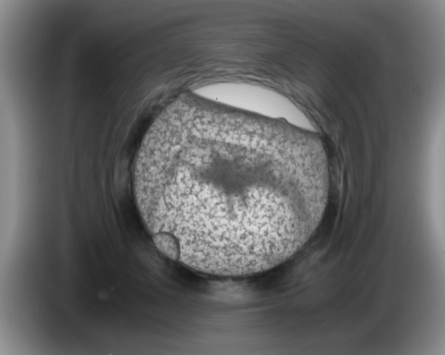 X0000083580511200703091701