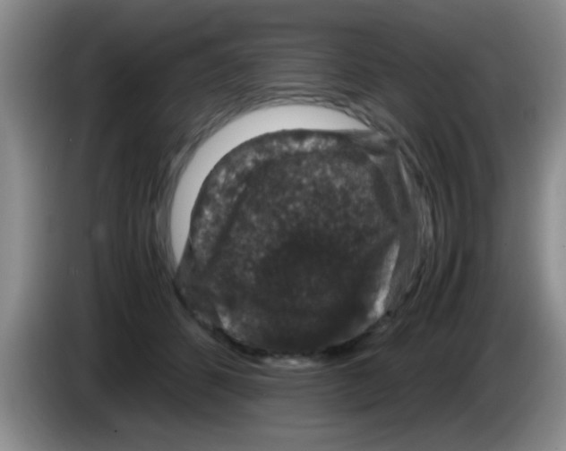 X0000083580512200703091701