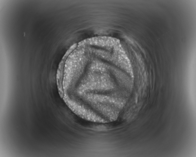 X0000083580513200703091701