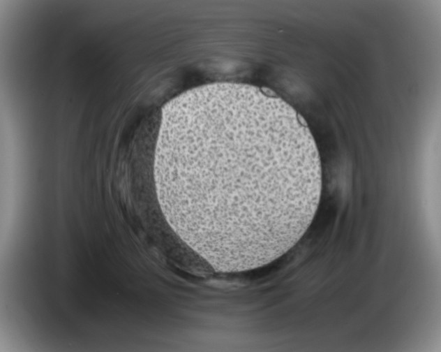 X0000083580515200703091701