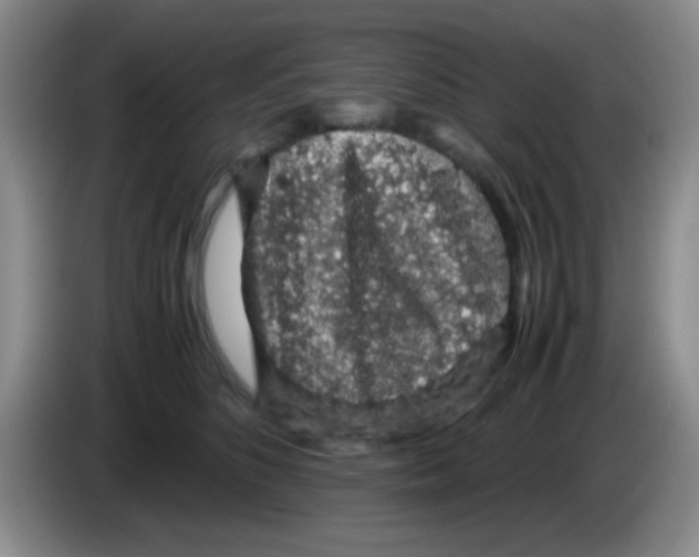 X0000083580516200703091701