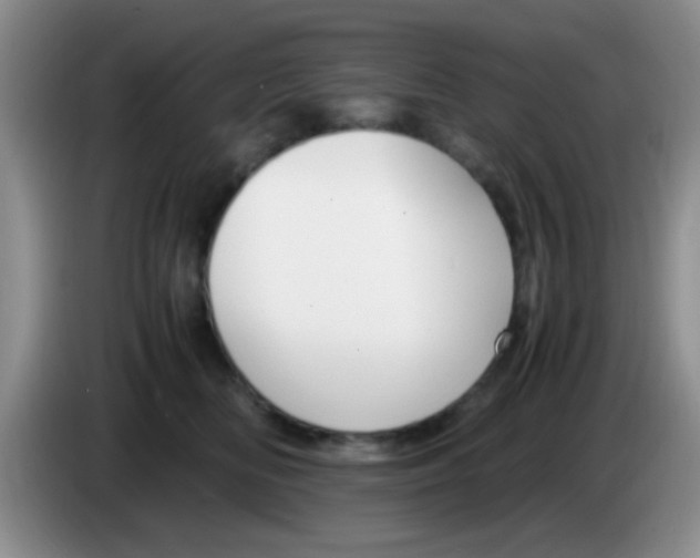 X0000083580518200703091701