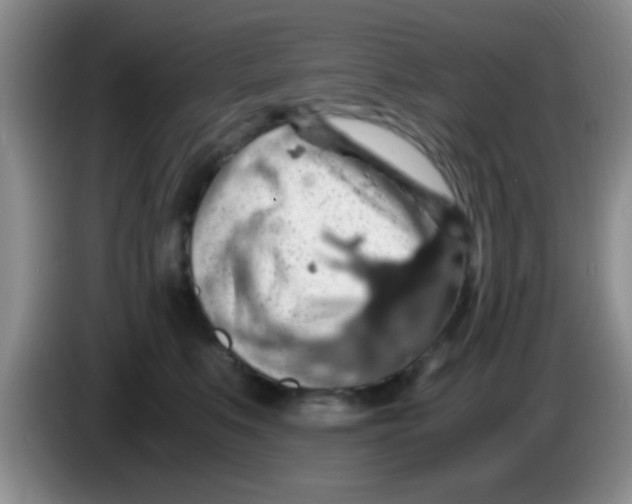 X0000083580519200703091701