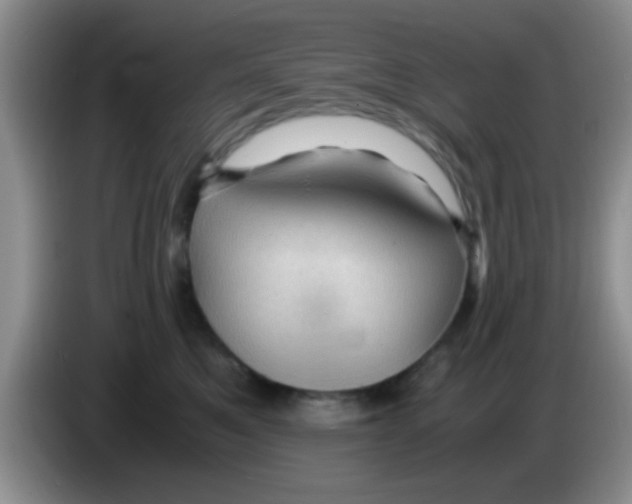X0000083580521200703091701
