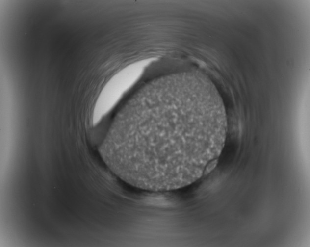 X0000083580523200703091701