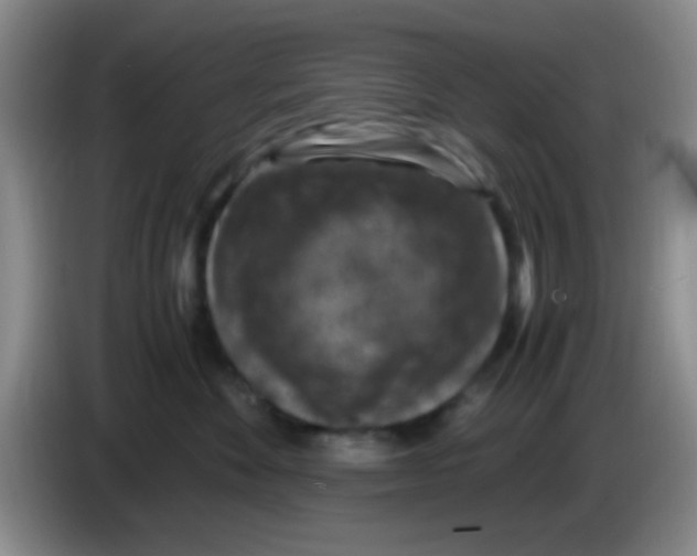 X0000083580524200703091701