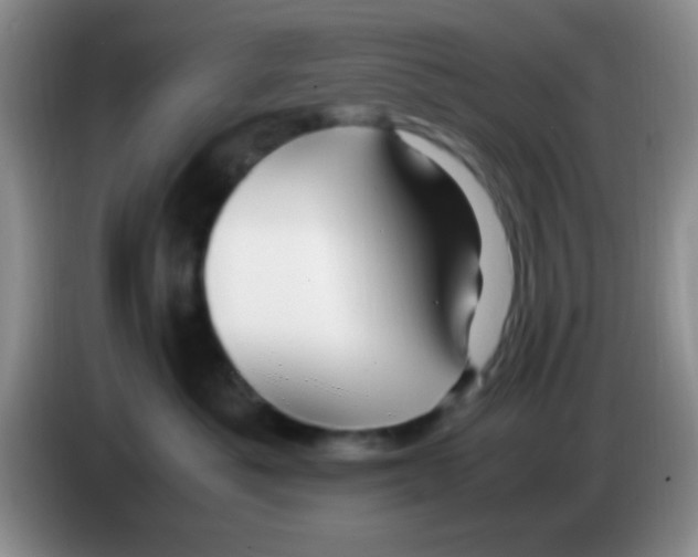 X0000083580525200703091701