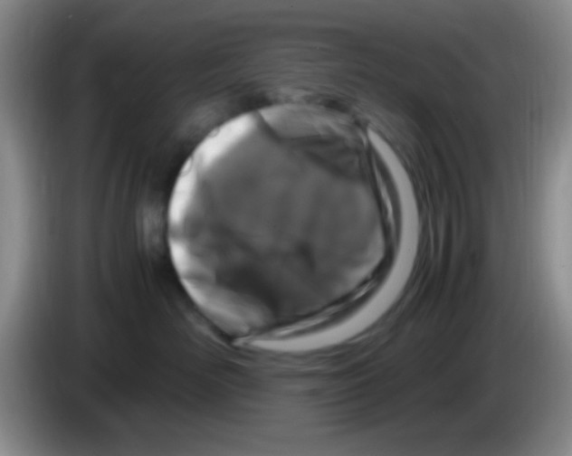 X0000083580526200703091701