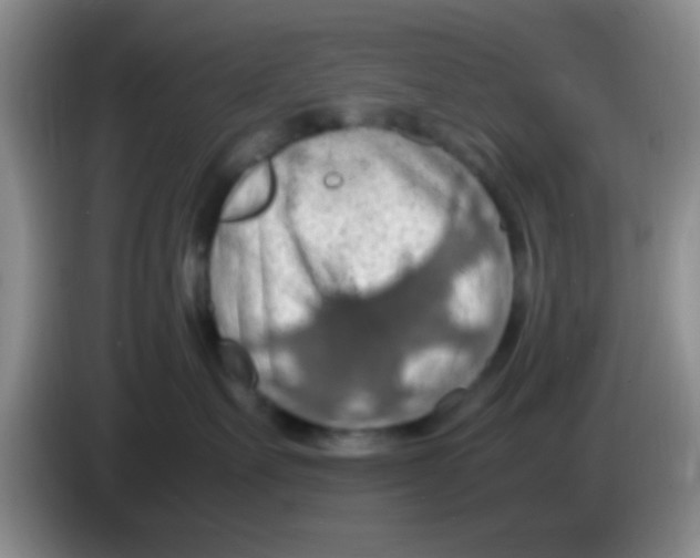 X0000083580527200703091701