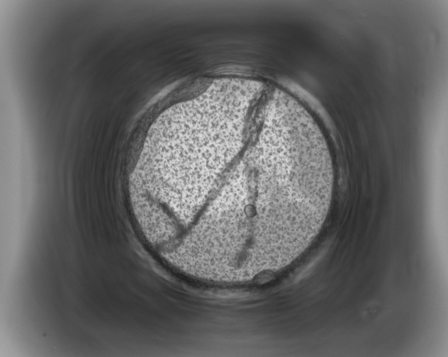 X0000083580529200703091700