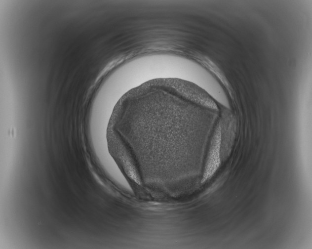 X0000083580530200703091700